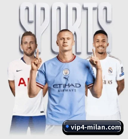 五大服务分区,信息按项目分类 | MILANESPORTS
